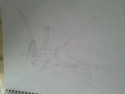 Mes dessins Zorro10
