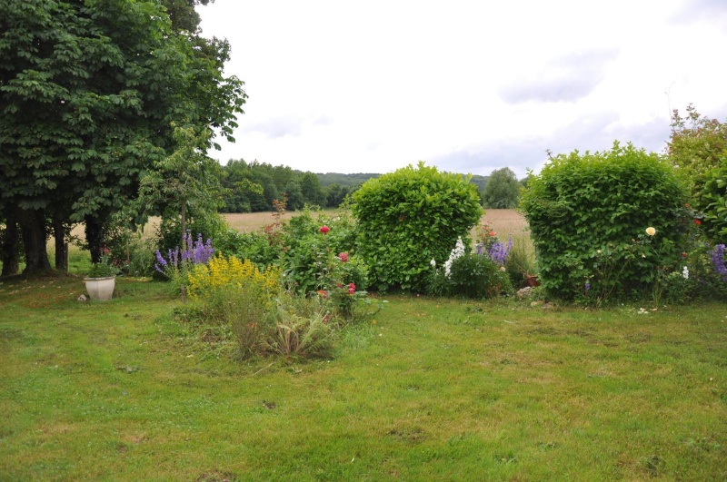 Mon jardin du val de Loir Image14