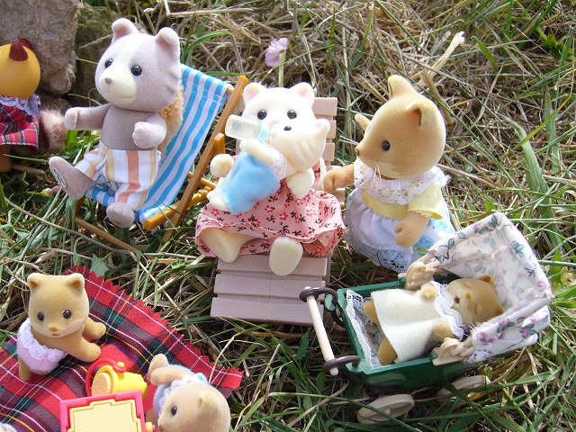 Mes familles sylvanian P1030914