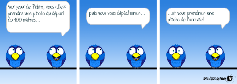 Les Birds - Page 12 14404211