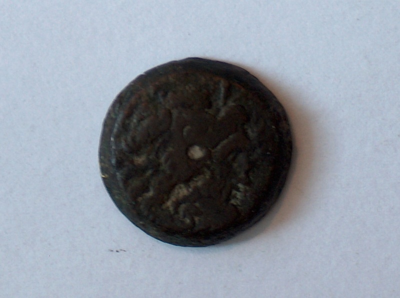 bronze Lagide Ptolémée VI Philométor 62210