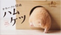 はｍはｍはｍハムはむ Ham12