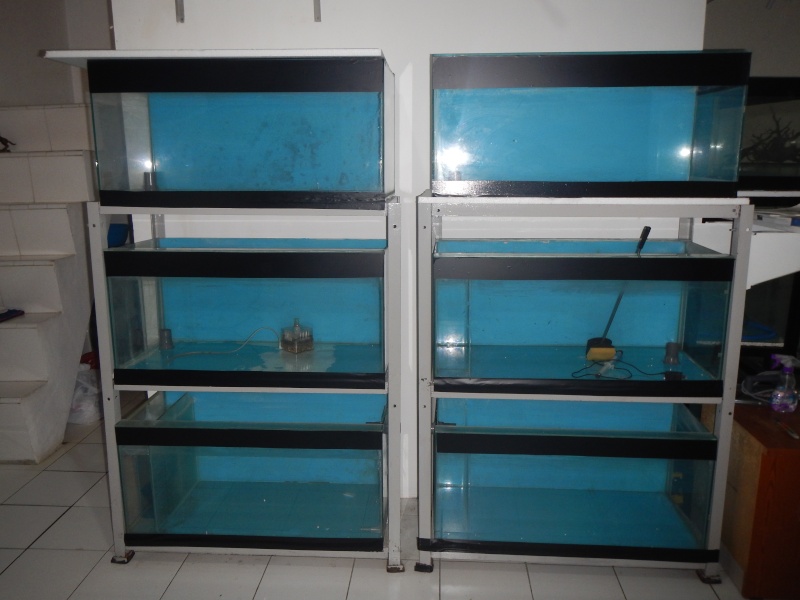 Dijual akuarium set dengan raknya mantaaps jaminan termurah. Dscn0916