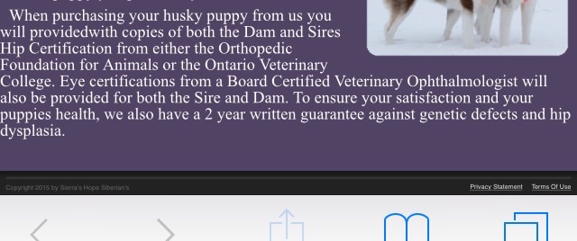 Breeders? 1 million questions - Page 2 Image18