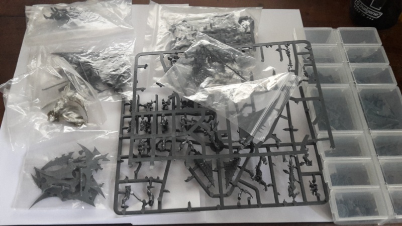 (VENTE) Raiders, Ravagers, Wyches, Reavers, Incubi, Kabalites  20150710