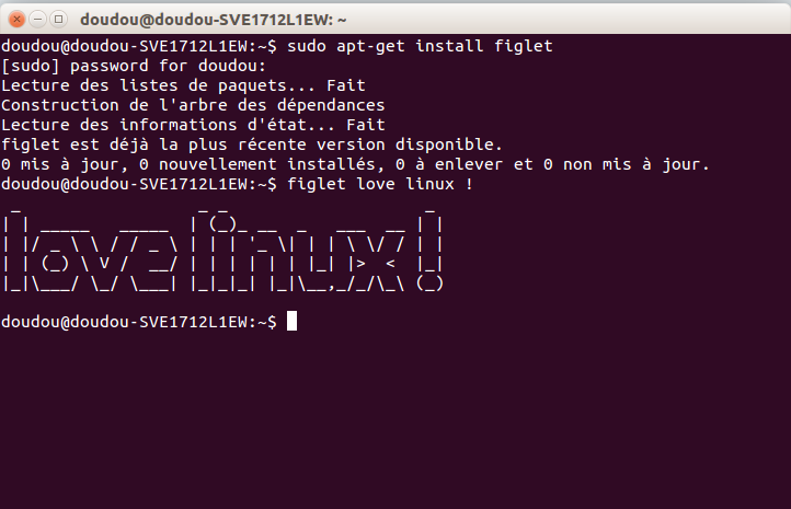 Linux : 2 commande pour écrire en style sur le terminal. Captur59