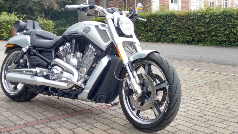 Présentation de ma V-Rod Muscle Vrod411