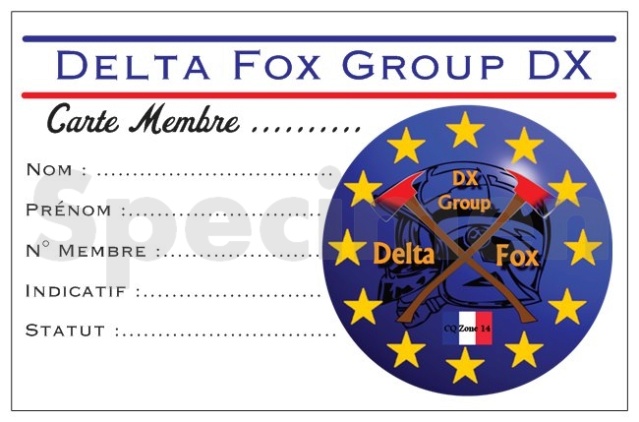 DELTA-FOX Group Dx Previe10