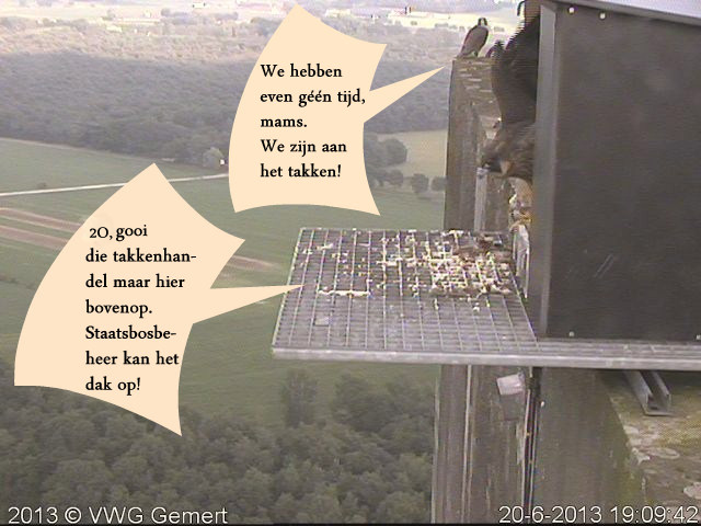 screenshots va 2 maart 2023 © VWGGemert/Vogelbescherming Nederland - Pagina 6 Cam_1c10