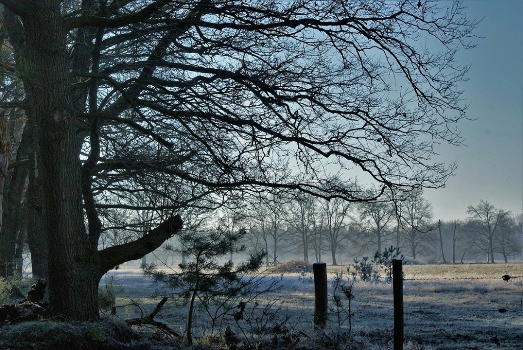 Rondom de toren. Dsc09013