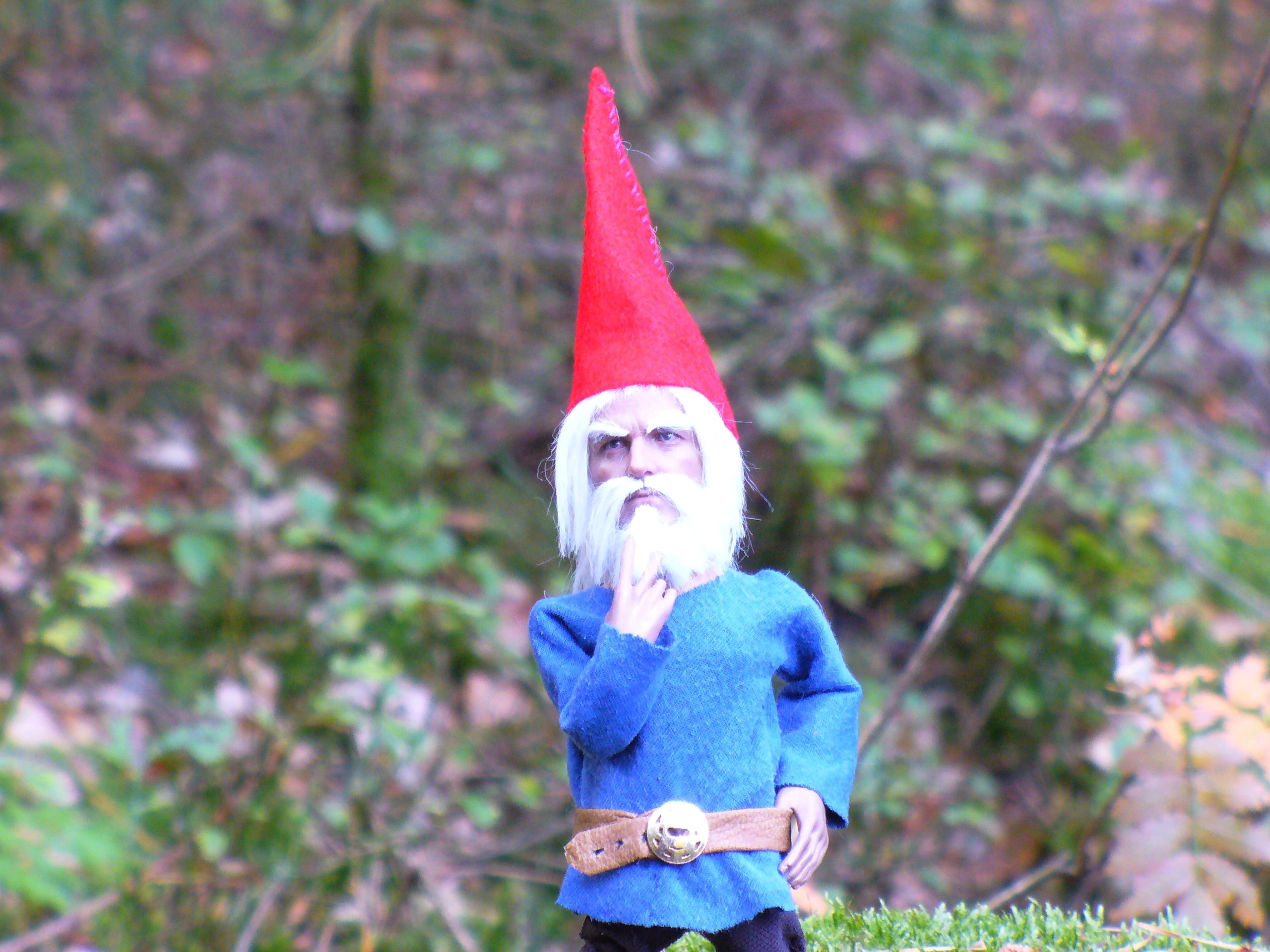  A Gnome called Heinz P1200313