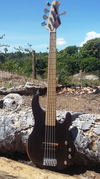 Meu MM com Luthier Santos Vista110