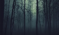 A Floresta Que Não Dorme - Chamado de Cthulhu 6ª Edição