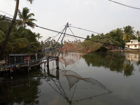 Inde - balade au Kérala 20191118