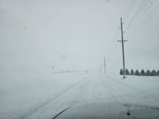 Blizzard 2024 Road_t10