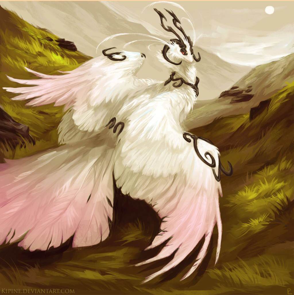 Oiseau blanc