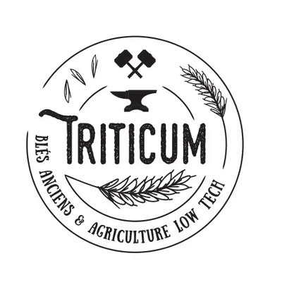Triticum Groupe Pro