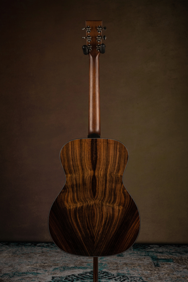 Blind guitars - Page 4 B30-3113