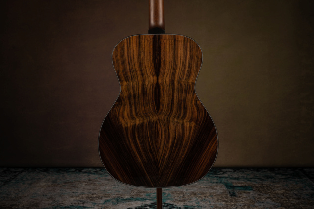 Blind guitars - Page 4 B30-3118