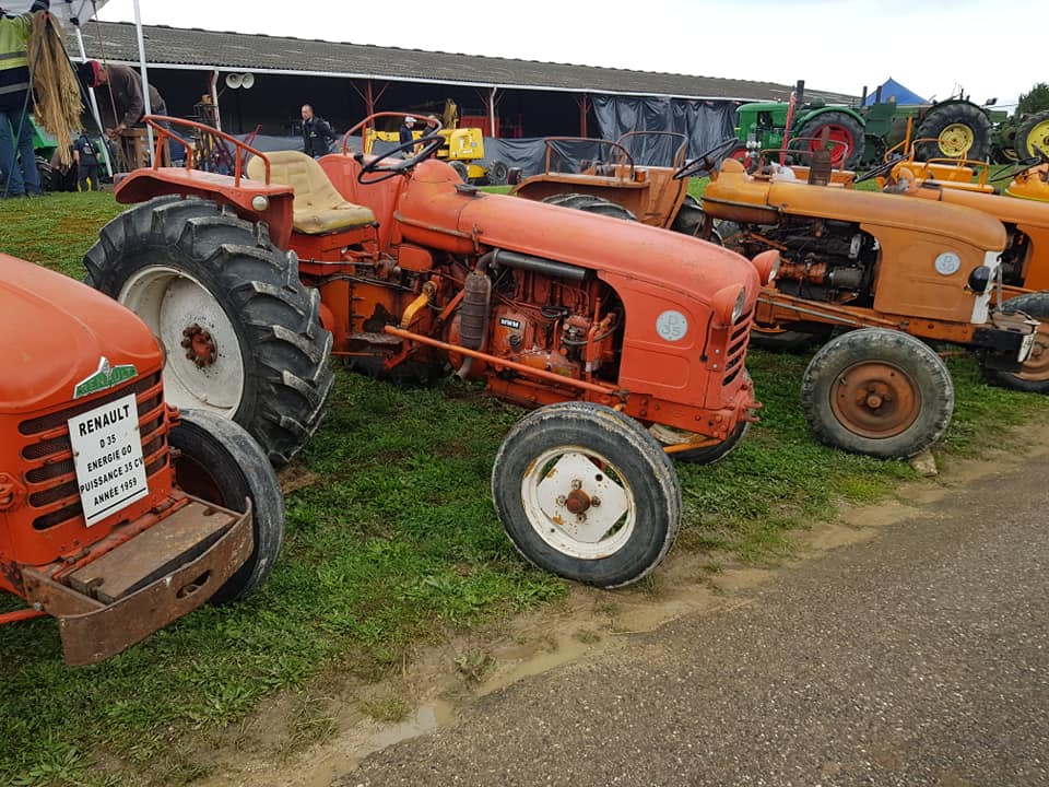 2022/10/02- Burey la Côte - 8ème rassemblement de vieux tracteurs - (55) 31006511