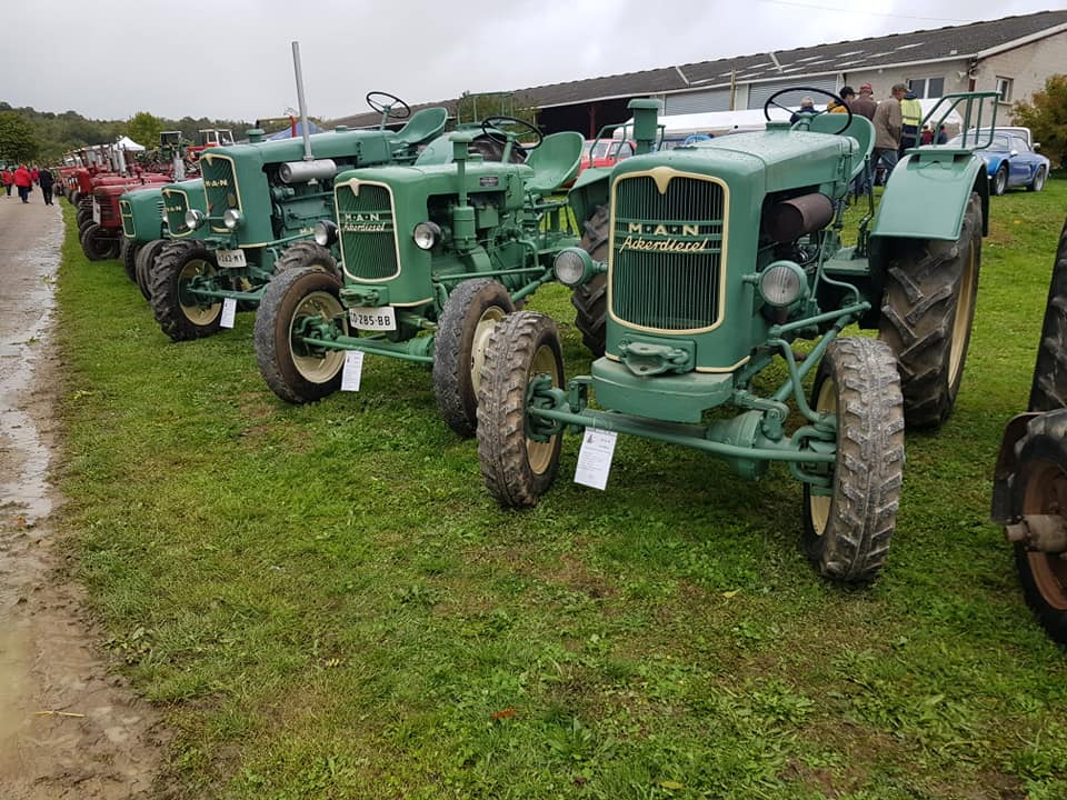 2022/10/02- Burey la Côte - 8ème rassemblement de vieux tracteurs - (55) 31009510