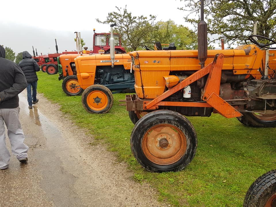 2022/10/02- Burey la Côte - 8ème rassemblement de vieux tracteurs - (55) 31011910