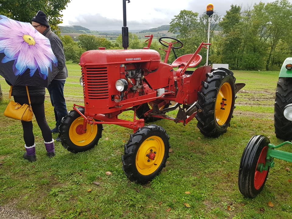 2022/10/02- Burey la Côte - 8ème rassemblement de vieux tracteurs - (55) 31024710