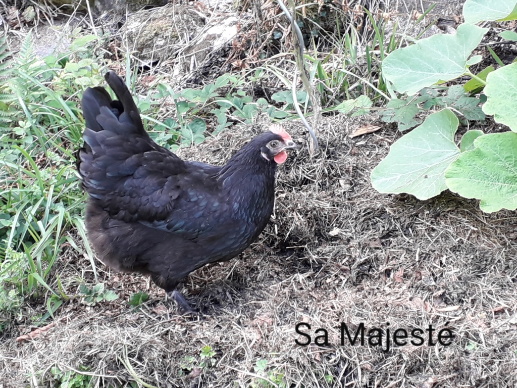 Présentation Sa_maj10