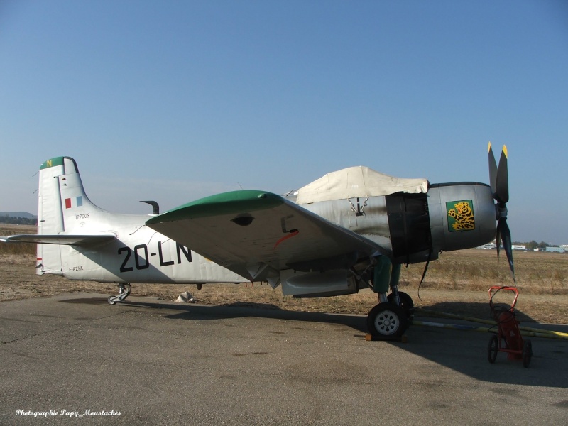 Douglas Skyraider - Page 3 Sky00210