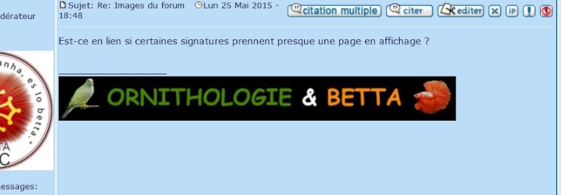 SIGNATURES, AVATARS et leurs tailles Confor10