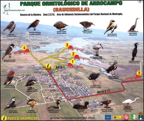 [Espagne] Parc Ornithologique de Arrocampo-Saucedilla Page1-11