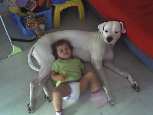 le chien et l enfant Sharon10
