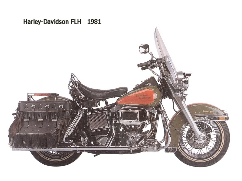 Harley du 20 ième siècle......... - Page 4 Hd-flh10