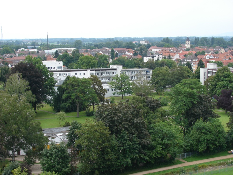 le jardin des deux rives à STRASBOURG - Page 2 Dsc01242