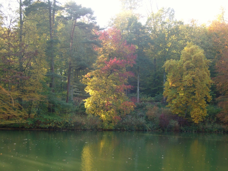 L\'automne et ces couleurs Snc17112