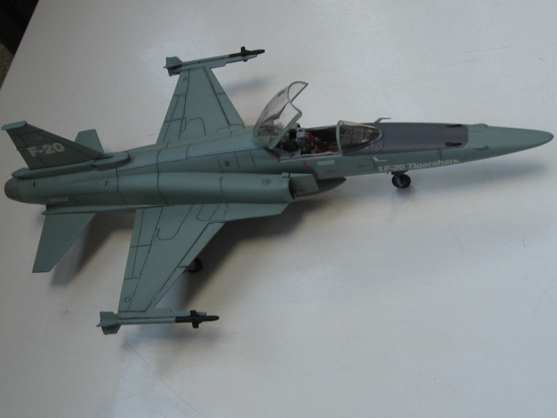[hasegawa/Revell (Monogram)] Northrop F-20A Tigershark  1/48 Img_3815