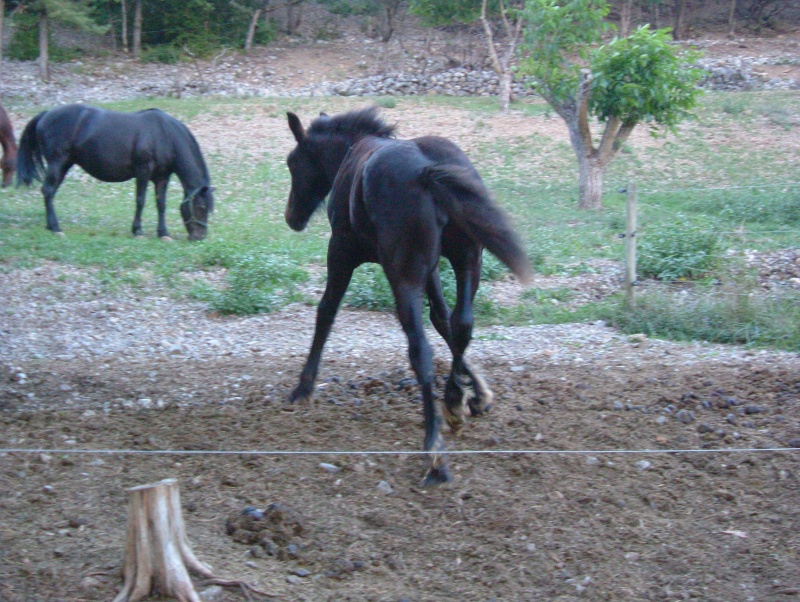 Turia nigheann Ciaràn, bientôt 4 mois (déjà) 2007-055