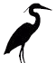 Héron, héron petit patapon ! Héron, héron petit patapon !