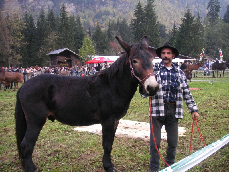 Galerie beauté----> Les photos sélectionnées Foire_10