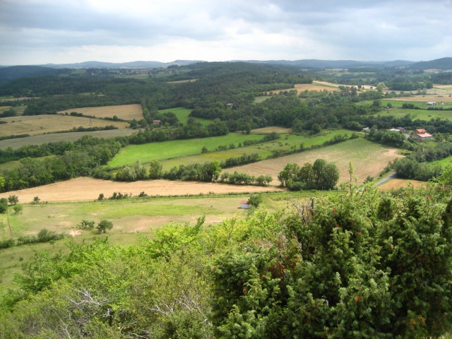 Combadine et ses proches environs au fil des saisons - Page 3 29060719