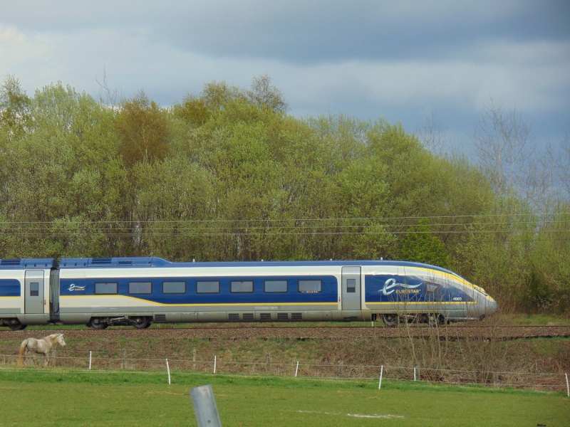 Train EuroStar dans le sud de la province Dsc00420