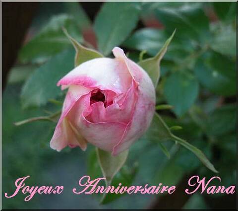 Joyeux Anniversaire Joyeux Anniversaire