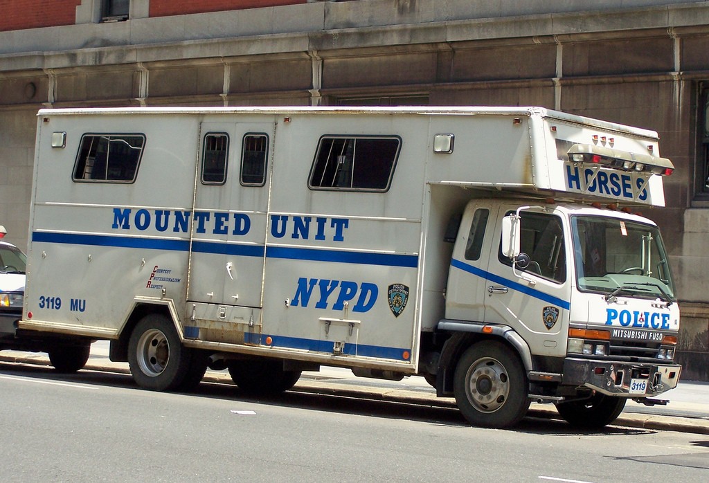 the Mounted Unit - unit questre 10211