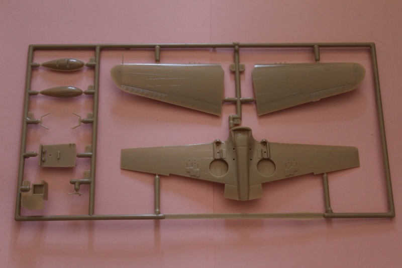 [Hasegawa] Curtiss Kittyhawk Mk I (P-40E) Img_4620