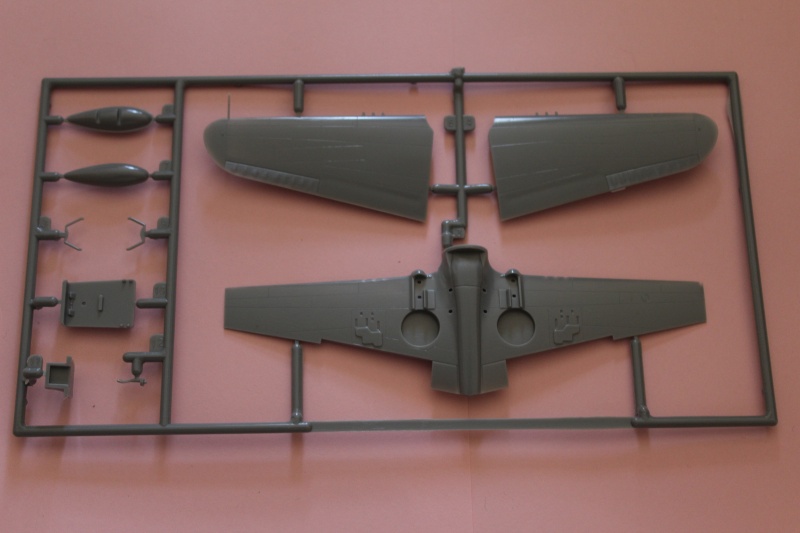 [Hasegawa] Curtiss P-40N Warhawk Img_4629