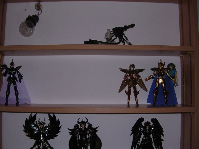 Dark Mat's collection (Myth cloth, LEGO, MOTUC...) Dscn3218