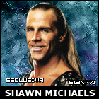 Show inaugural: IC Championship: Ric Flair vs Randy Orton Shawn_10