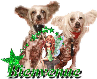 Salut tous le monde Bienve11