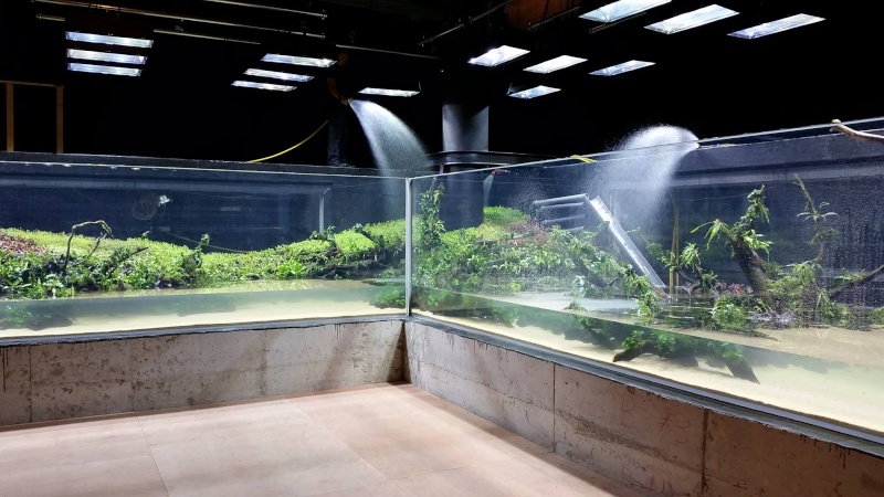 [Vidéo] Nouveau aquarium de Takashi Amano 160 000L 11048610