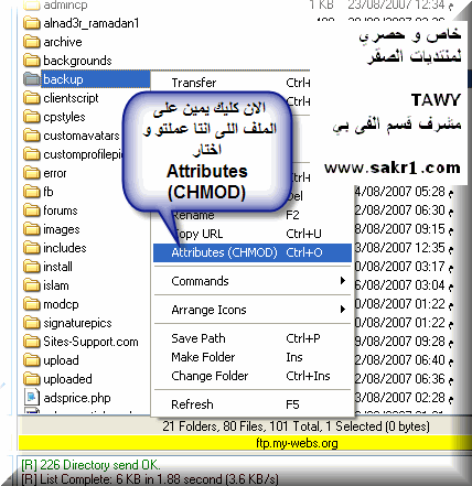 طريقة عمل نسخة احتياطية كاملة للمنتدى واسترجاعها 311